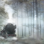 Locomotion Locomotion
