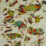 Lacerated Rainbow