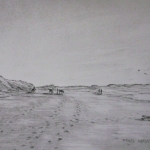 Jæren beach. Jæren beach.