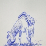 Horse. Horse.