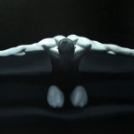 musculus vastus musculus vastus