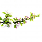 Lente 2 Lente 2