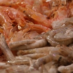 Gamba's Gamba's