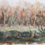 De Gorsselse Heide 4 De Gorsselse Heide 4