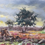 De Gorsselse Heide 1 De Gorsselse Heide 1
