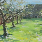 Boomgaard PA (Verkocht) Boomgaard PA (Verkocht)