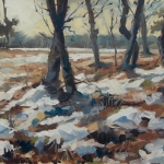 Sneeuw op de heide Sneeuw op de heide