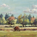 Schotse Hooglanders Schotse Hooglanders