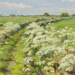 Kikkerbloemen Kikkerbloemen