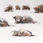 Schotse hooglanders Schotse hooglanders