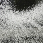 splash splash