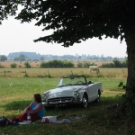 zomergevoel zomergevoel