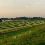 IJssellandschap IJssellandschap