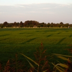 kavels kavels