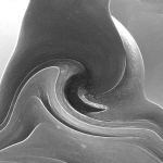 abstract 1 abstract 1