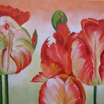 Tulpen