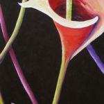 Calla's