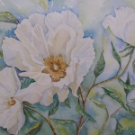 Wilde rozen