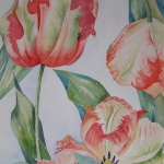 Tulpen