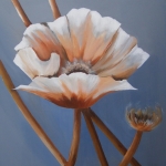 Poppies I