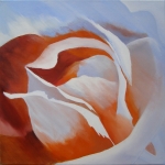 Orange rose