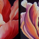 Tulpen 3