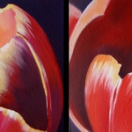 Tulpen 5