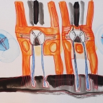 oog 2 oog 2