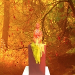 'La Sirène 'La Sirène