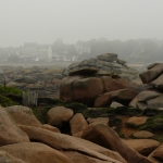 Foggy landscape
