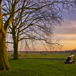 Trees