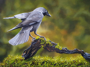 Schilderijen met dieren (beschikbaar)