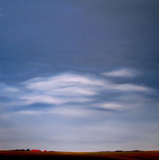 Zeeuws landschap 3