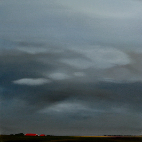 Polder in Zeeland 180311