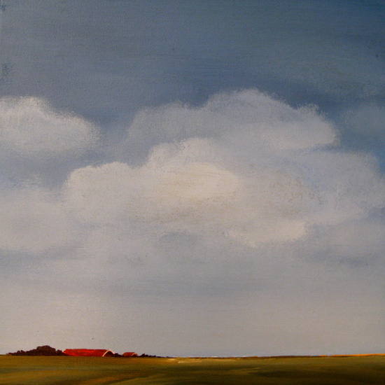 Polder in Zeeland 2