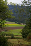 Diverse foto's van landschappen