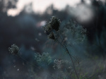Protect our living planet - a symbolic way to draw attention to the need to protect our planet, a complaint about how we, as the biggest polluters, are treating our planet. We are the night for our own planet…
