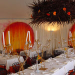 Partystyling/decoratie voor Events