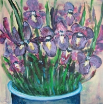 Irissen Irissen