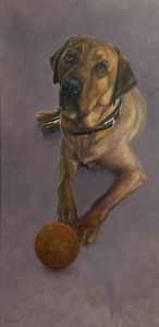 HONDENPORTRETTEN IN OPDRACHT Wilt u een portret van uw huisdier? Neemt u dan vrijblijvend contact op met 06-49728192