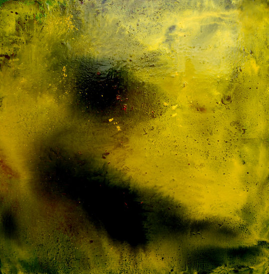 mellow yellow