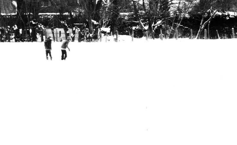 snow (7)