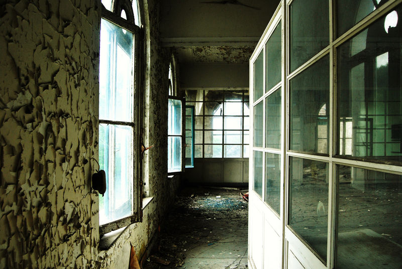 windows & reflections