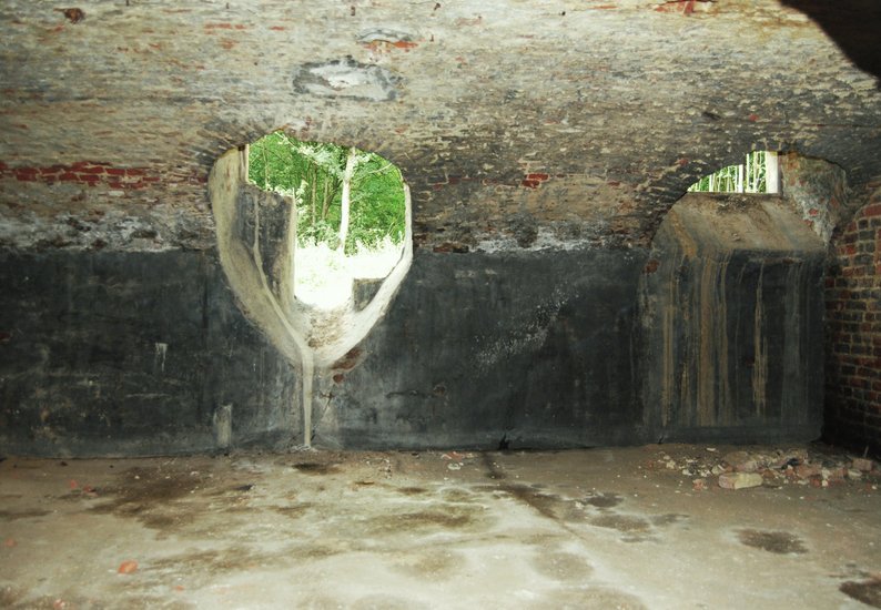 view from a cellar