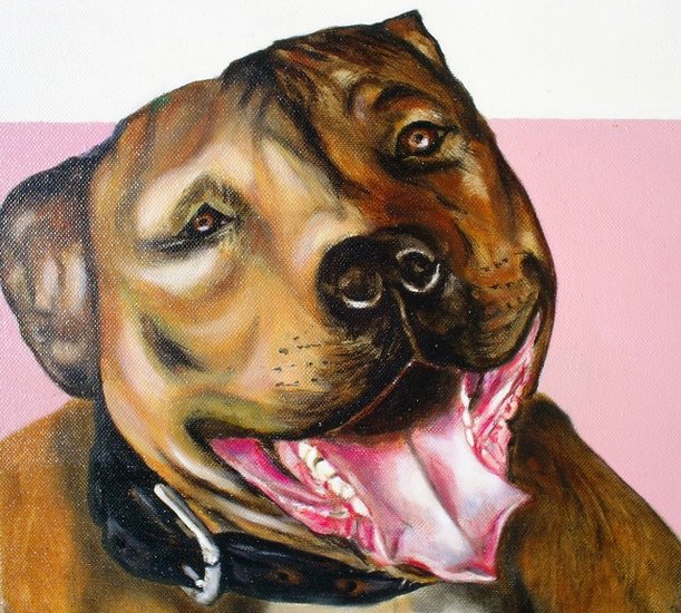 hond en stress