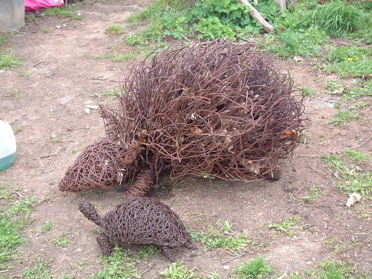 over the hedge turtle over the hedge turtle