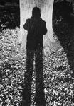 Foto's van Adriaan Bonebakker (1911-2001) gerenommeerd Naardens amateurfotograaf.