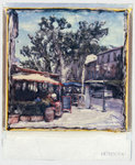 Gemanipuleerde Polaroid SX-70 foto's. Unieke exemplaren