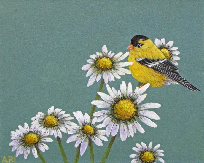 GOUDVINK MET MARGRIETJES