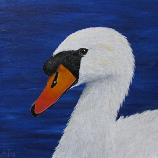 ZWAAN 3